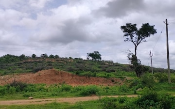 Land For Sale in Shankarpalli