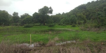 Plot Area in  Plot at Dronagiri – for Sale
