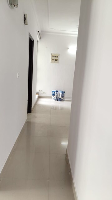 2 BHK Apartment For Rent in Cosmos Executive, Sector 3