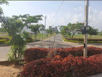 Plot For Resale in Jigani Bangalore  7852943