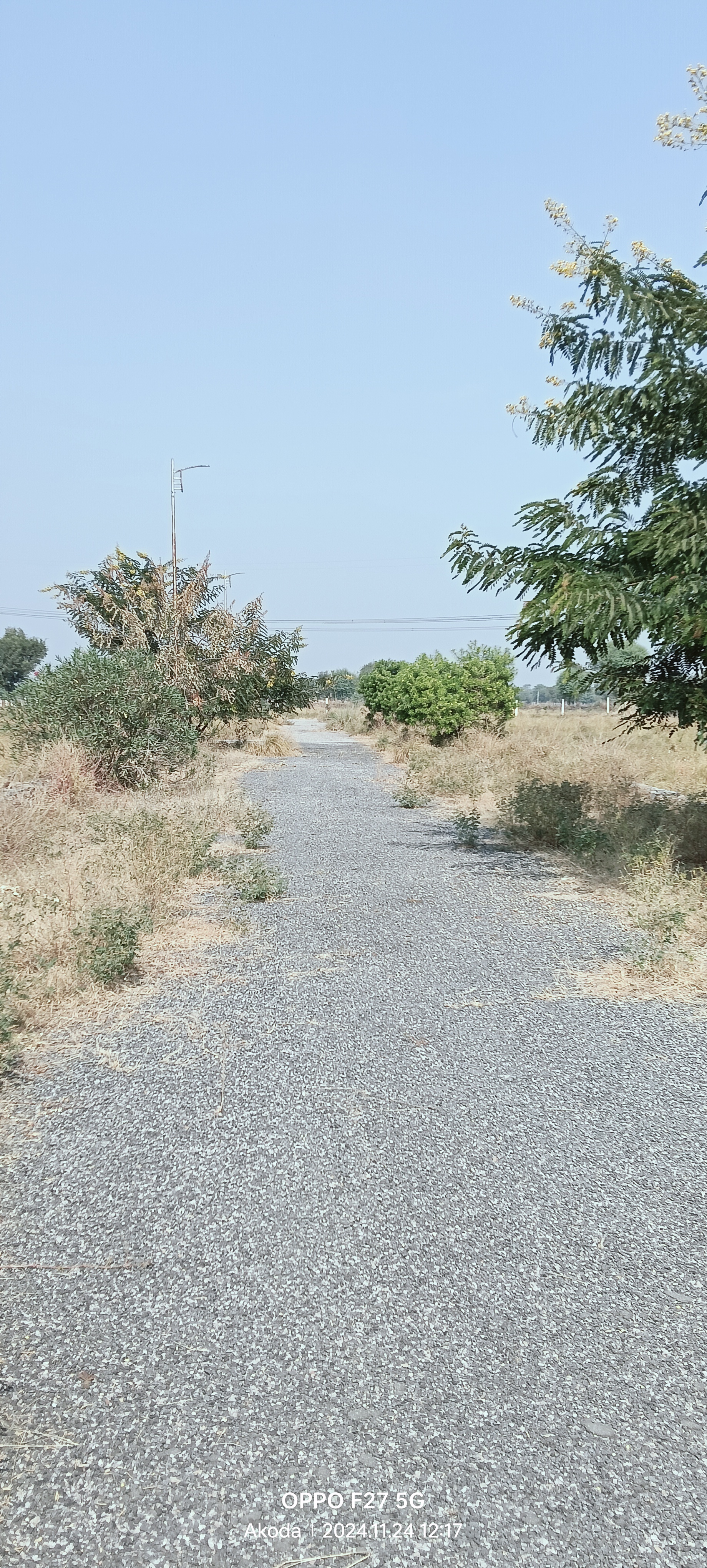 Plot For Sale in Guman Krishnam