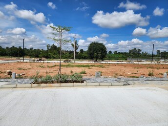 Plot For Resale in Budigere Cross Bangalore  7853283