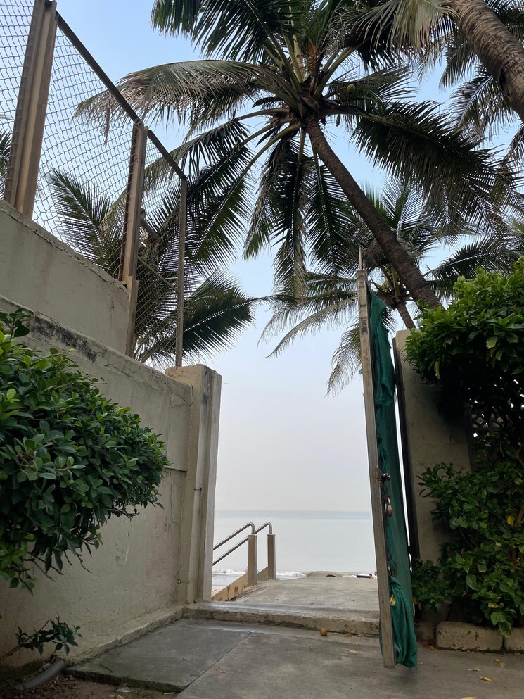 Exterior View, oyster-shell 1 Bedroom 450 Sq.Ft. Apartment In Juhu Mumbai 7853387