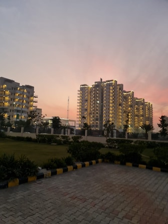 4 BHK Apartment For Resale in Godrej 101 Sector 79 Gurgaon  7853520