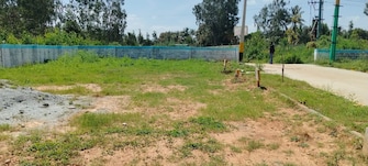 Plot For Resale in Pragpur Village Jalandhar  7848871