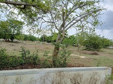 Plot For Resale in Sanand - Nalsarovar Road Ahmedabad  7848964