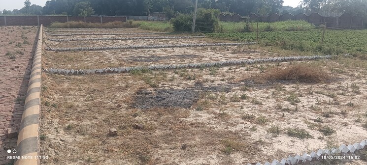 undefined, wazirganj  1000 Sq.Ft. Plot In Wazirganj Lucknow 7854162