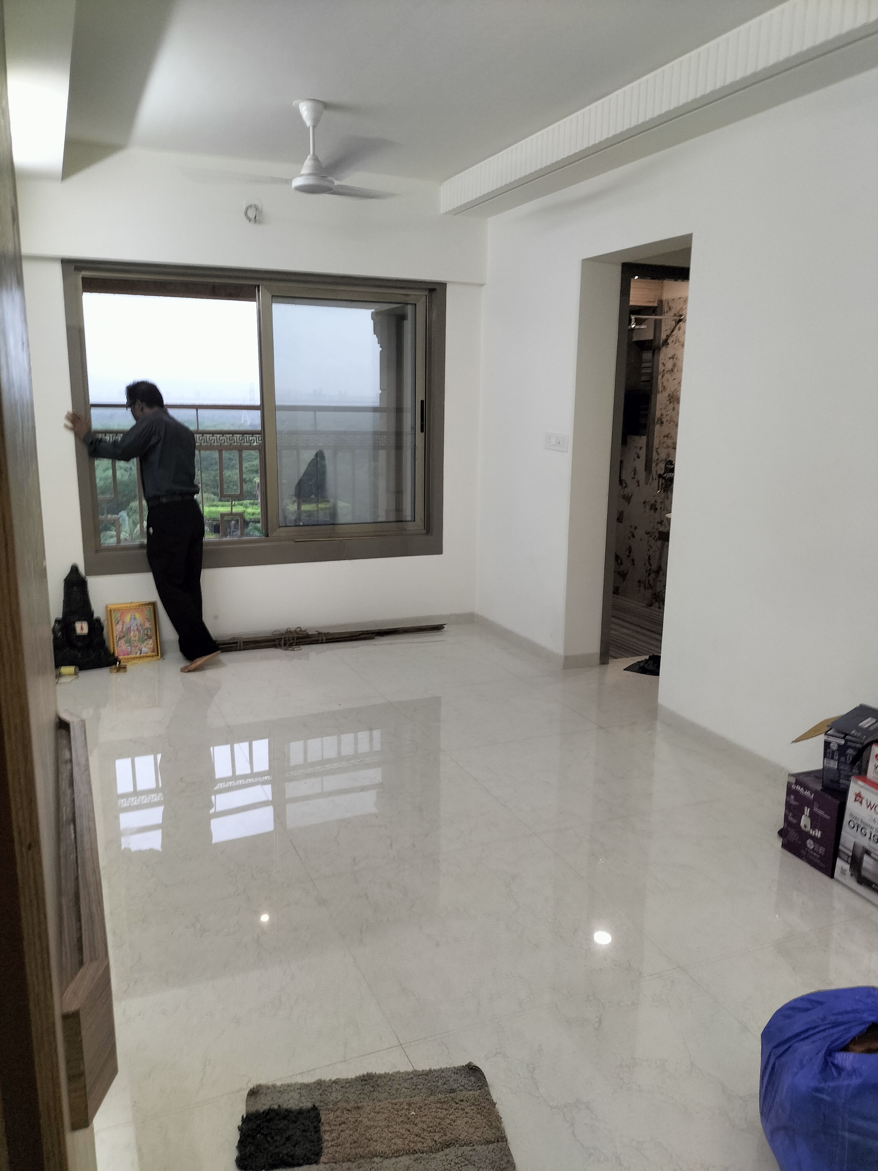 1 BHK Apartment For Sale in Truearth View