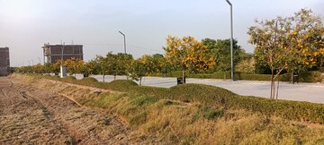  Plot For Sale in Mansha Oaks, Sector 98