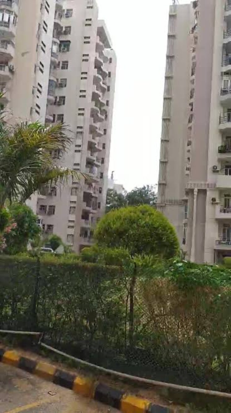 Exterior View, maple-heights 2 Bedroom 980 Sq.Ft. Apartment In Sector 43 Gurgaon 7855453