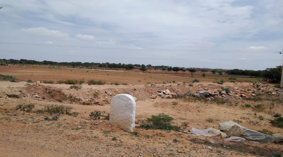 Plot For Resale in Chikkaballapur Bangalore  7855913