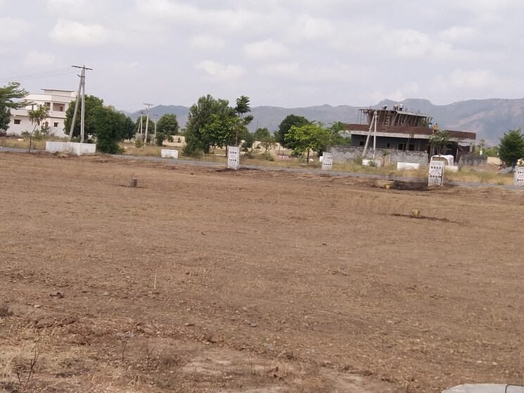 undefined, chilakaluripeta  300 Sq.Yd. Plot In Chilakaluripeta Guntur 7856497