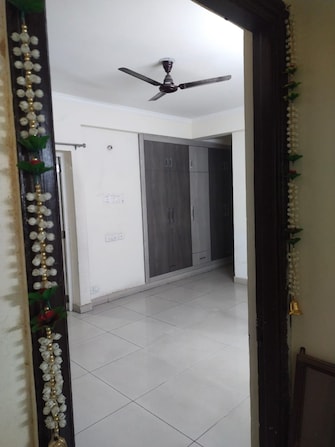 3 BHK Apartment For Resale in Panchsheel Greens Noida Ext Sector 16 Greater Noida  7856695