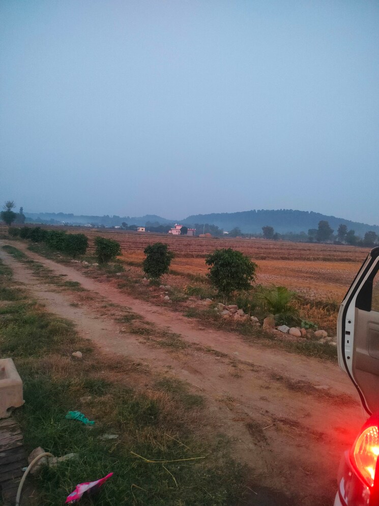 undefined, ramnagar  300 Sq.Yd. Plot In Ramnagar Nainital 7856853