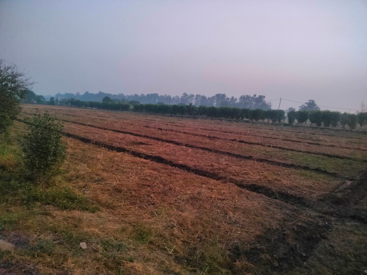 undefined, ramnagar  300 Sq.Yd. Plot In Ramnagar Nainital 7856853