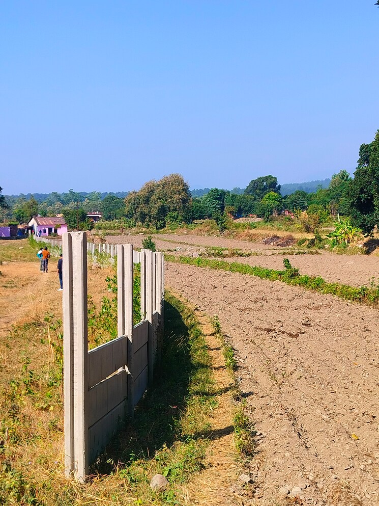 undefined, kotabagh  300 Sq.Yd. Plot In Kotabagh Nainital 7856861