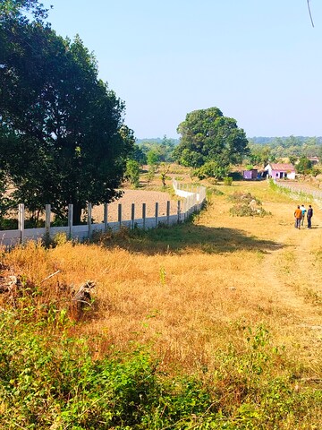 Plot Area in  Plot at Kotabagh – for Sale