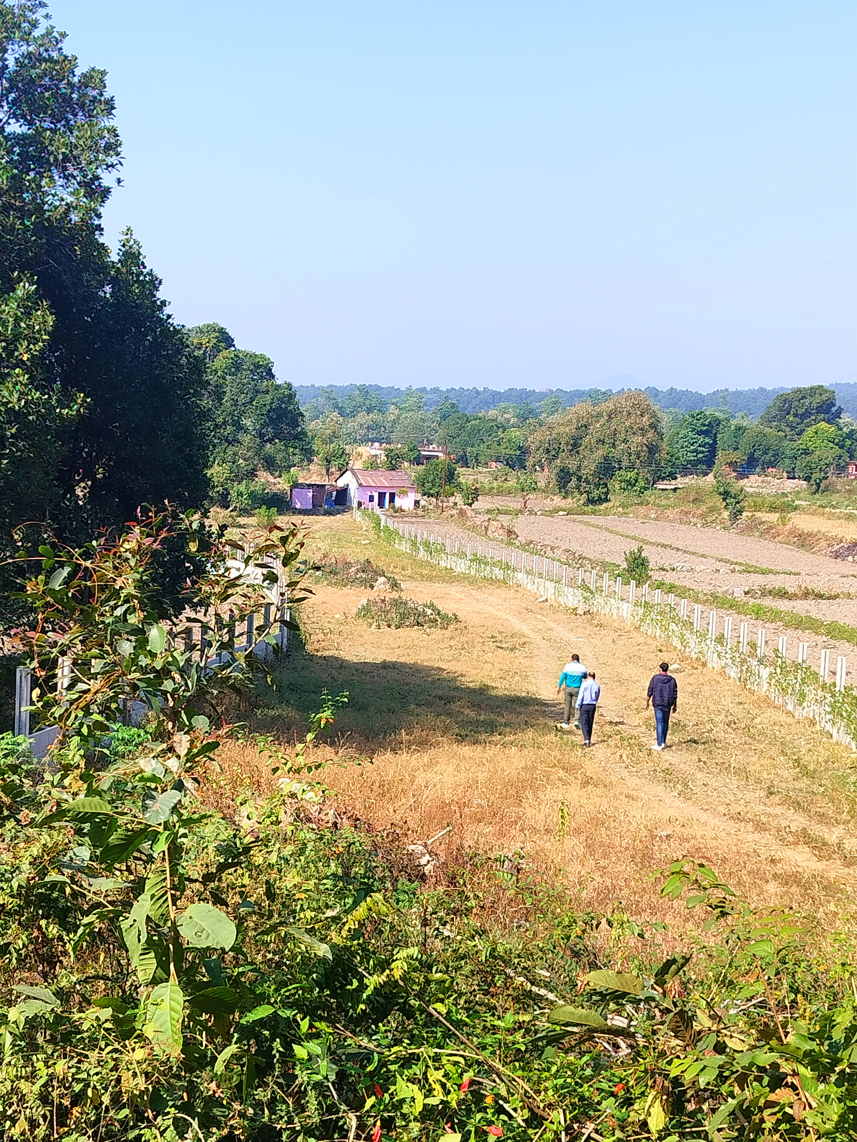 Plot For Sale in Kotabagh