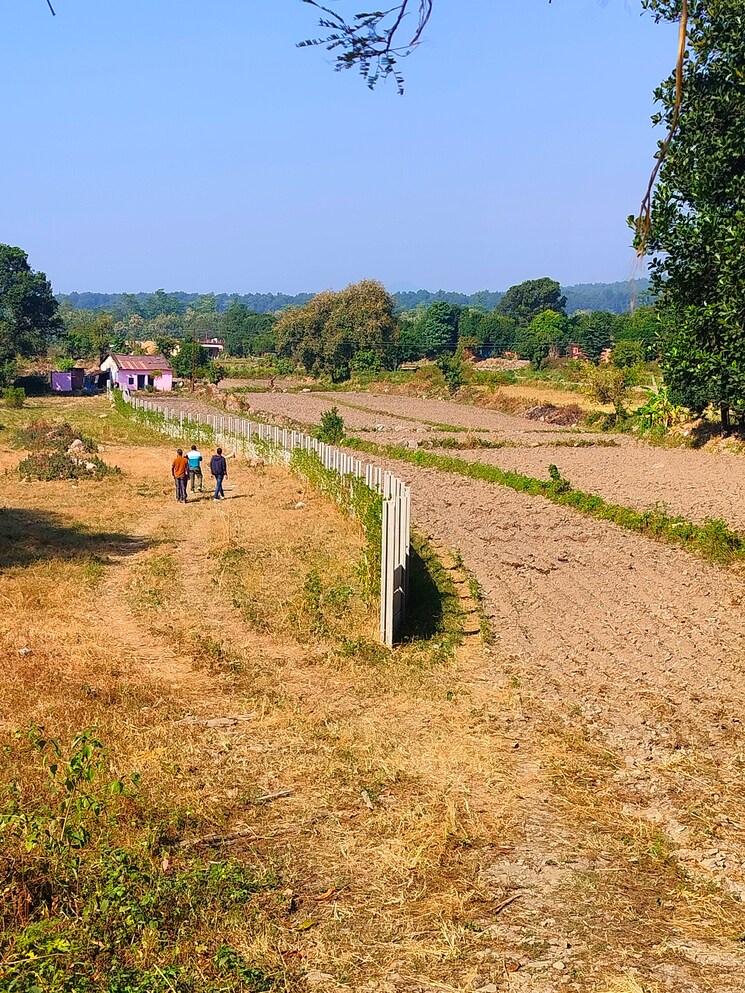 undefined, kotabagh  300 Sq.Yd. Plot In Kotabagh Nainital 7856861