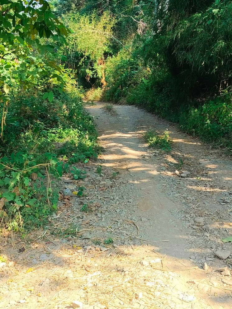 Exterior View, dharampur  300 Sq.Yd. Plot In Dharampur Dehradun 7856869