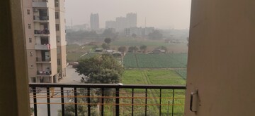 1 BHK Apartment For Rent in Auric City Homes, Sector 82