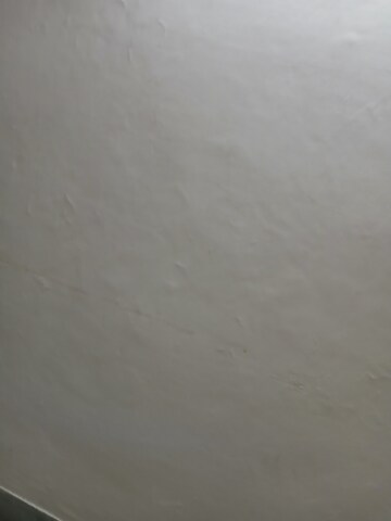 2.5 BHK Apartment For Rent in Ip Extension