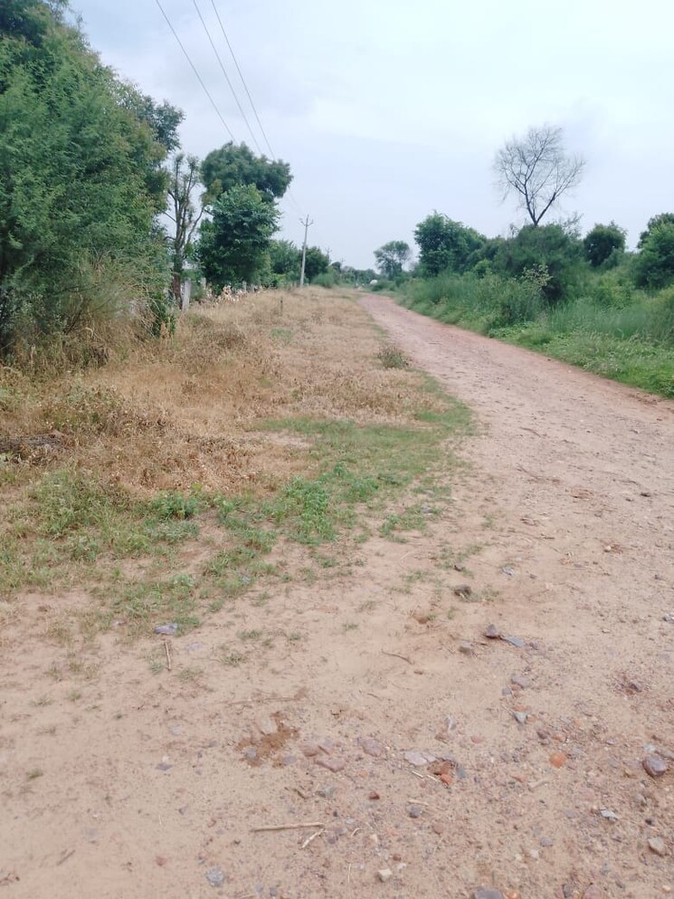 undefined, jewar  300 Sq.Yd. Plot In Jewar Greater Noida 7857756