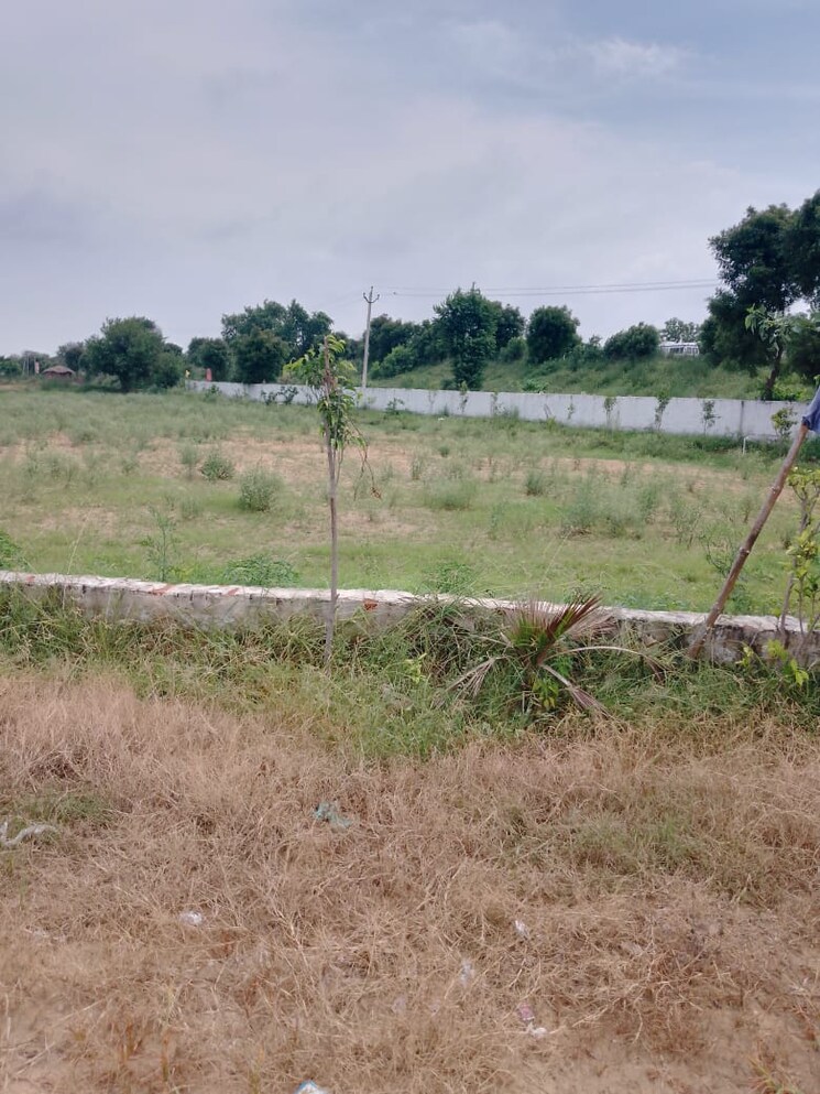 undefined, jewar  300 Sq.Yd. Plot In Jewar Greater Noida 7857756