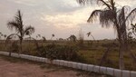 620 Sq.Yd. Plot in Aamwala