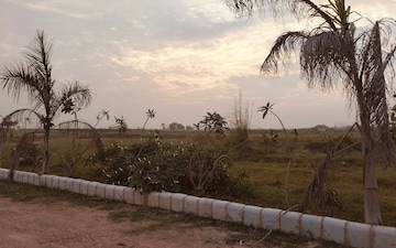Plot For Sale in Aamwala