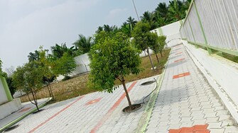 Plot For Resale in Pallipalayam Erode  7857852