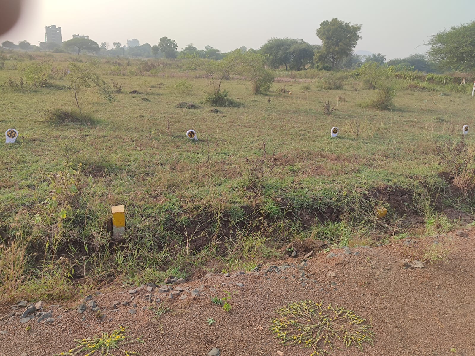 Plot For Resale in Mhasrul Nashik  7857983