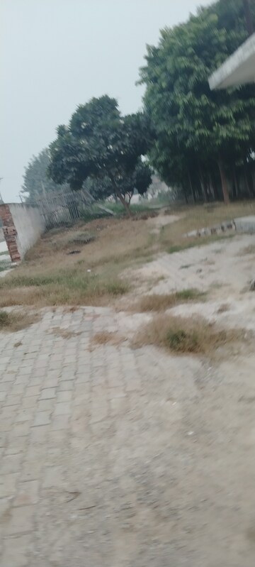 Plot Area in  Plot at Shaikhpur – for Sale