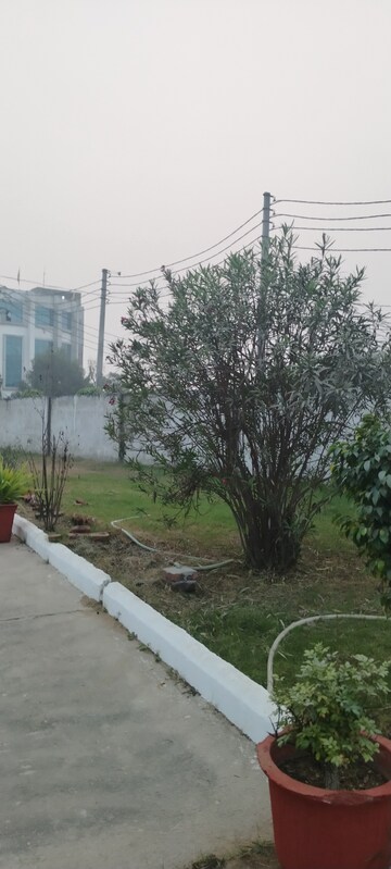  Plot – Garden View at Shaikhpur - for Sale