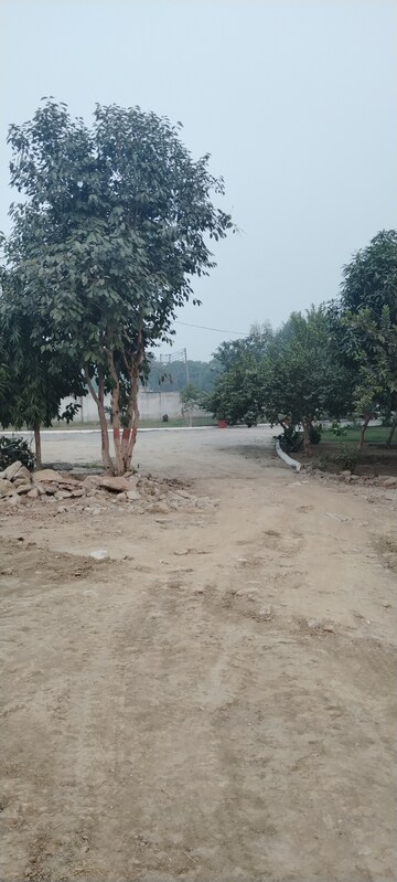 Plot – Exterior View View at Shaikhpur - for Sale