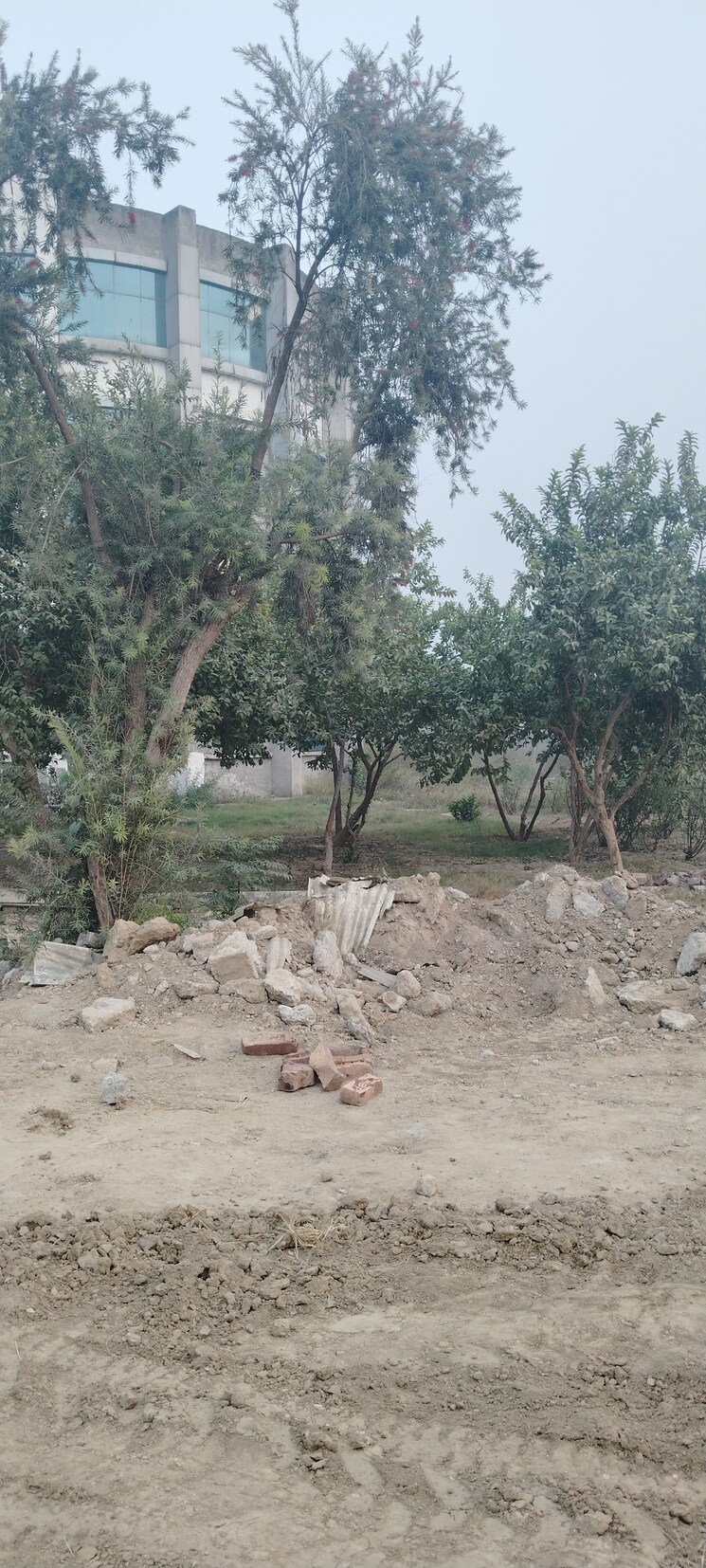 undefined, shaikhpur  97 Sq.Yd. Plot In Shaikhpur Meerut 7857985