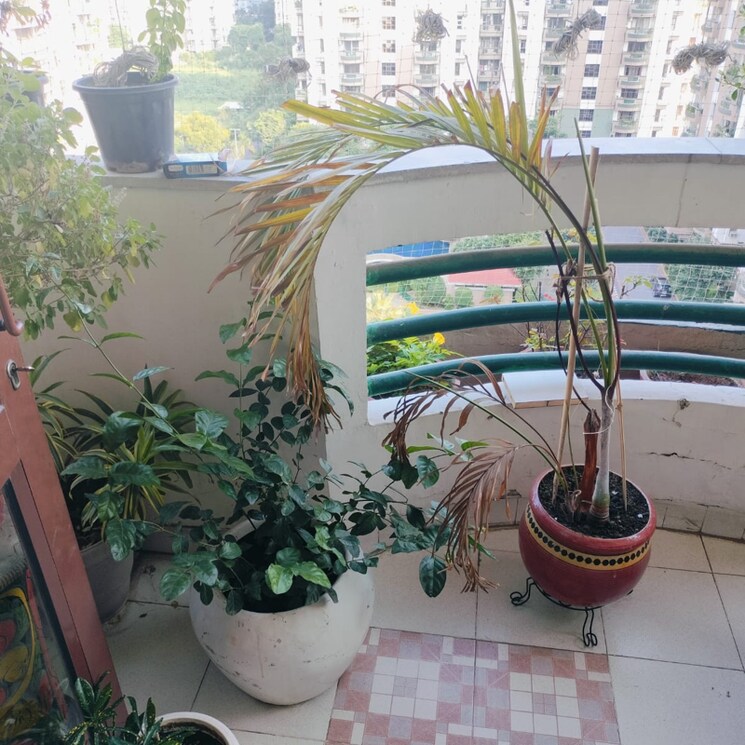 Balcony, vipul-greens 3 Bedroom 1860 Sq.Ft. Apartment In Sector 48 Gurgaon 7858065