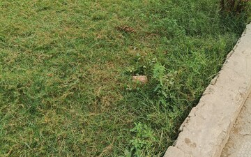 Plot For Sale in Godrej Green Estate, Sector 34