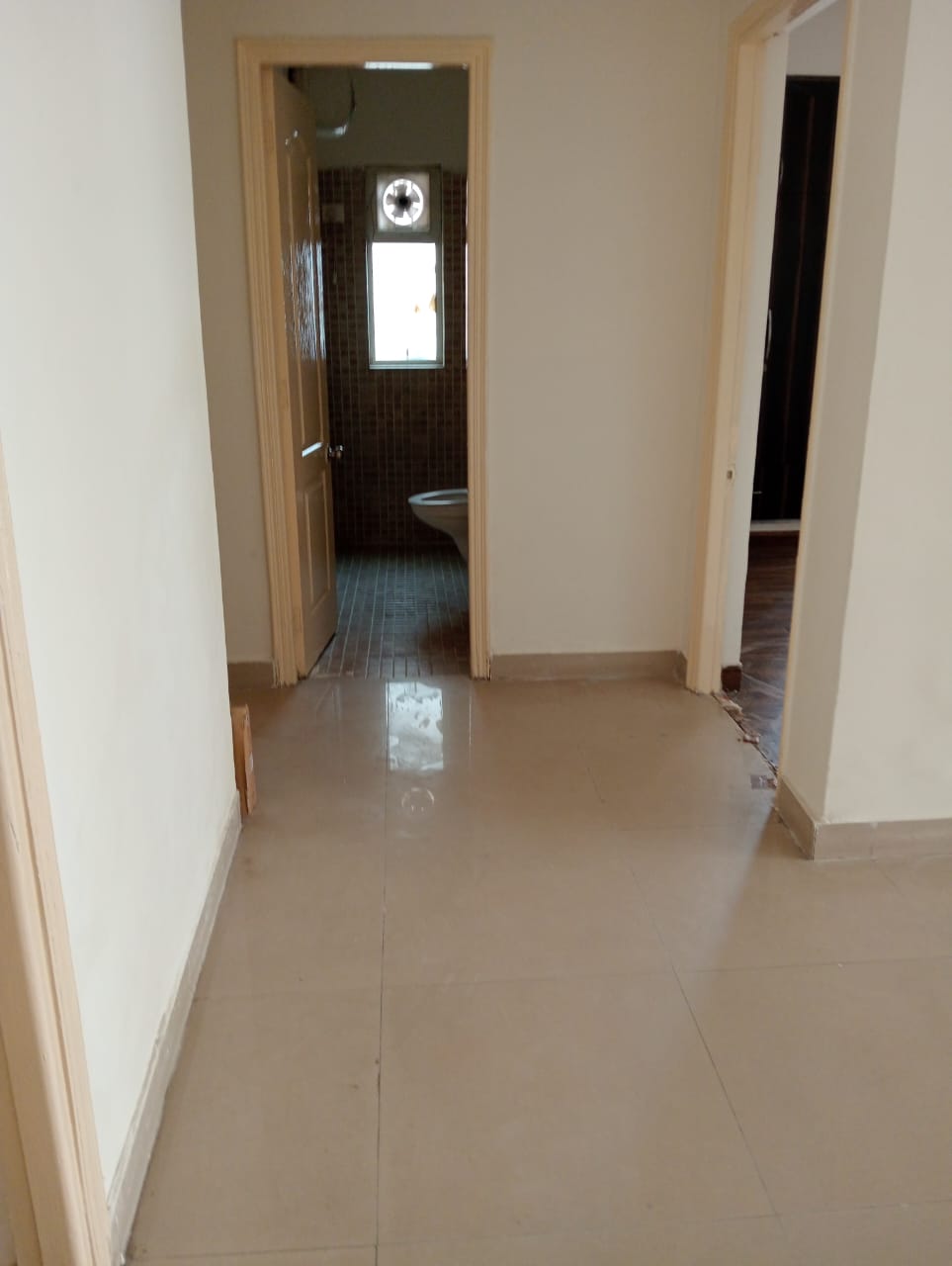 3 BHK Apartment For Rent in Paras Tierea Sector 137 Noida  7858538