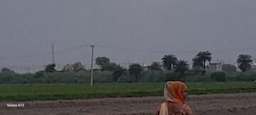 Plot Area in  Plot at Bhopani Village – for Sale
