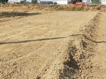 Plot Area in  Plot at Sikri – for Sale