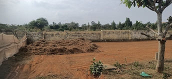 Plot For Resale in Ekta Greens Hosur Road Bangalore  7858900