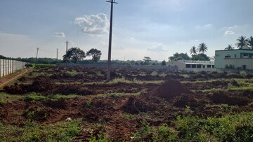 Plot For Resale in Mangalore Bangalore  7859295