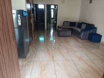 3 BHK Builder Floor For Rent in Lake View Complex Dhakoli Village Zirakpur  7859422