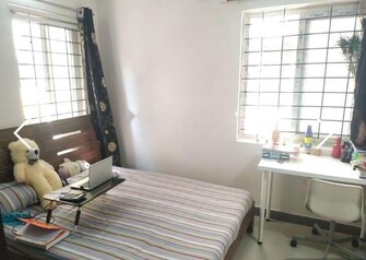 3 BHK Apartment For Rent in Tulip Pearl Kothapet Hyderabad  7860574