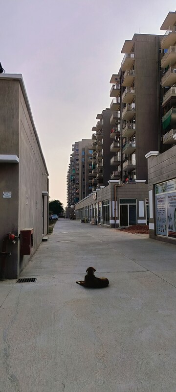  Shop For Sale in Conscient Habitat Residences, Sector 78
