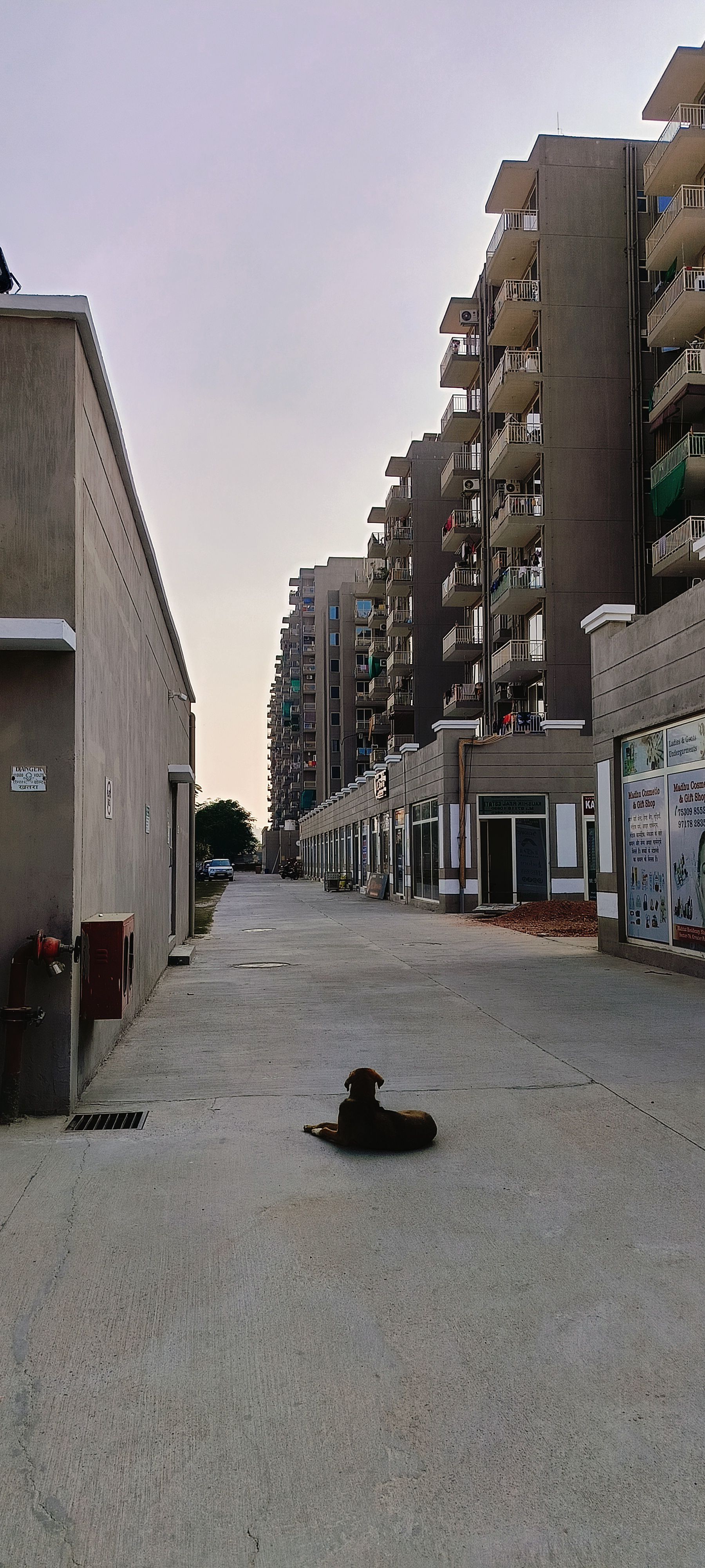 Retail Shop For Sale in Conscient Habitat Residences