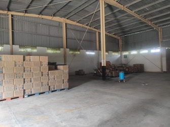 Commercial Warehouse 10000 Sq.Ft. For Rent in SolapuR-Pune Highway Solapur  7861240