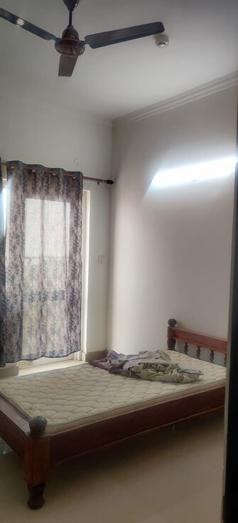 3 BHK Apartment For Rent in AWHO Shanti Vihar Sector 95 Gurgaon  7843461