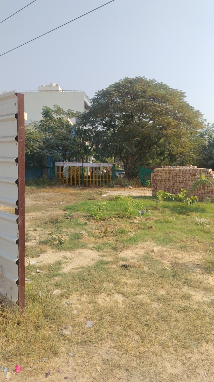 Garden, sai-kunj-new-palam-vihar  123 Sq.Yd. Plot In New Palam Vihar Phase 3 Gurgaon 7862449